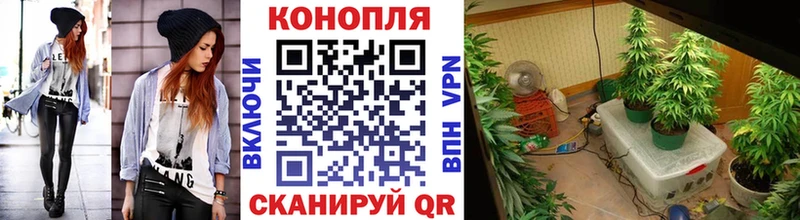 Конопля White Widow  Костерёво 